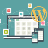 Wordpress & CMS