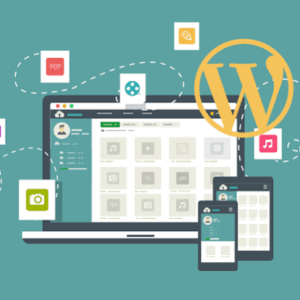 Wordpress & CMS
