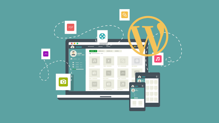 Wordpress & CMS